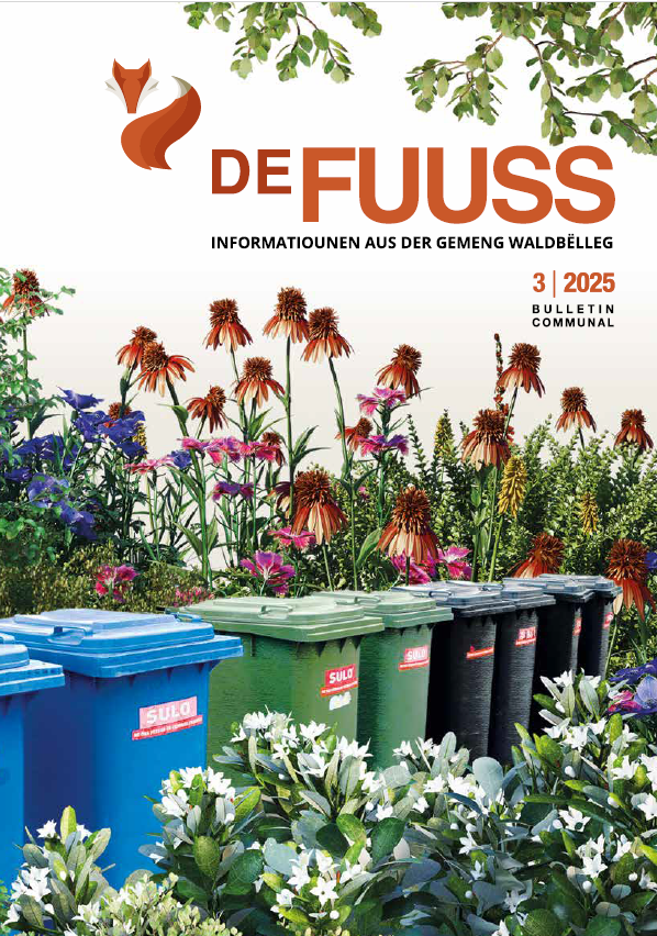 De Fuuss 3/2025