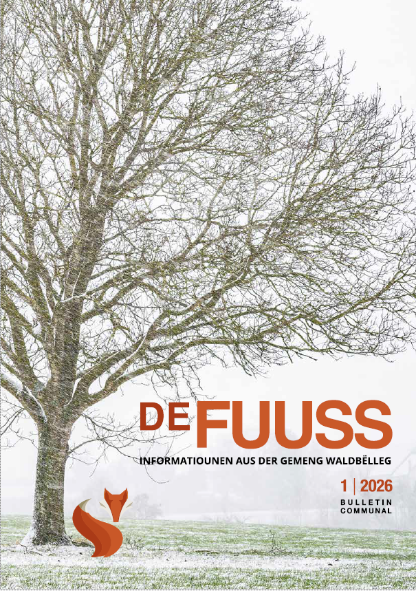 De Fuuss 1/2026